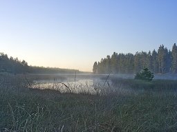 IMGP8381_Mosedalen_i_morgenlys